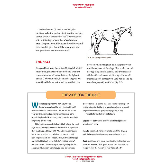 Dressage 101 (New Edition): The Ultimate Source of Dressage Basics in a Language You Can Understand image number null