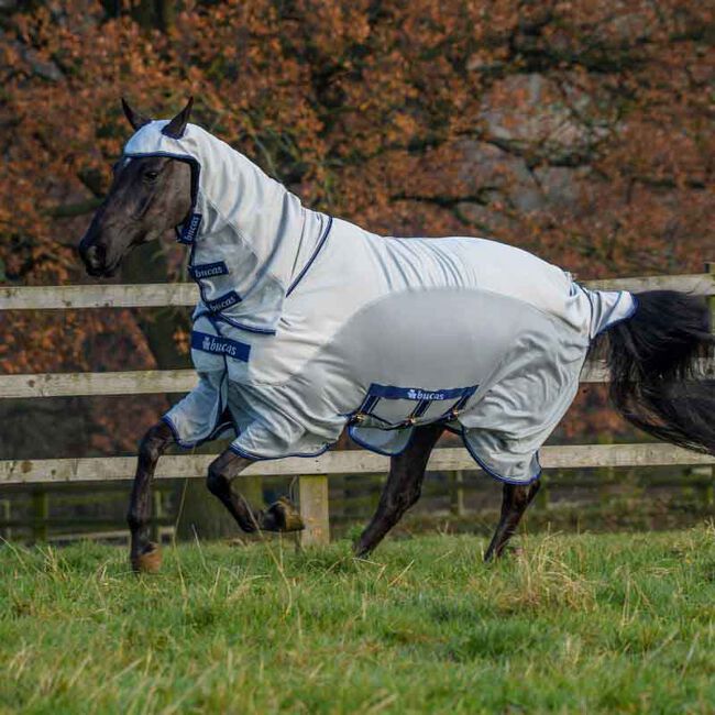 Demo Condition - Bucas Sweet Itch X Sheet - Silver image number null