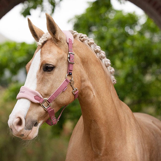 LeMieux Vogue Cavezza Per Cavallo Con Pile – Colore Mirtillo Rosso + Cordoncino
