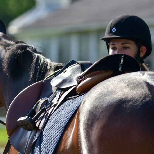 ThinLine Seat Saver for English Riders - Dressage - Black image number null