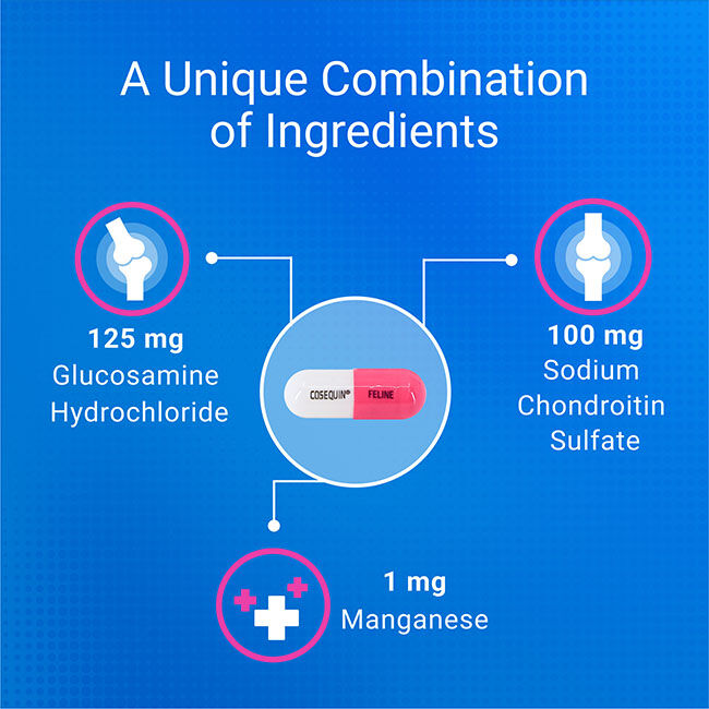 Nutramax Cosequin for Cats Joint Health Supplement, Contains Glucosamine for Cats, Chondroitin, and Omega-3s - Sprinkle Capsules - 80 Capsules image number null