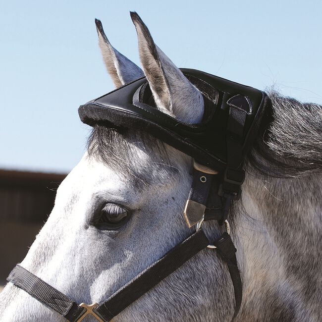 Cashel Horse Helmet image number null