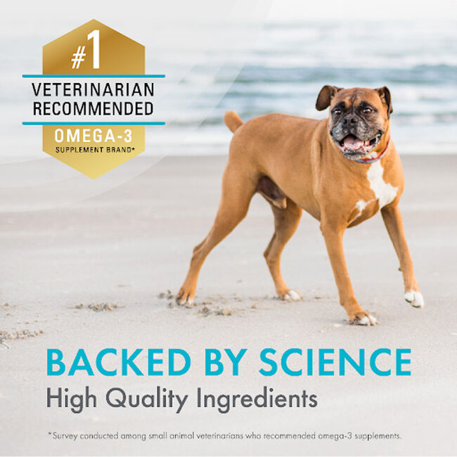 Nutramax Laboratories Welactin Daily Omega-3 Supplement for Dogs - Skin & Coat Health Plus Overall Health - 60 Soft Chews image number null