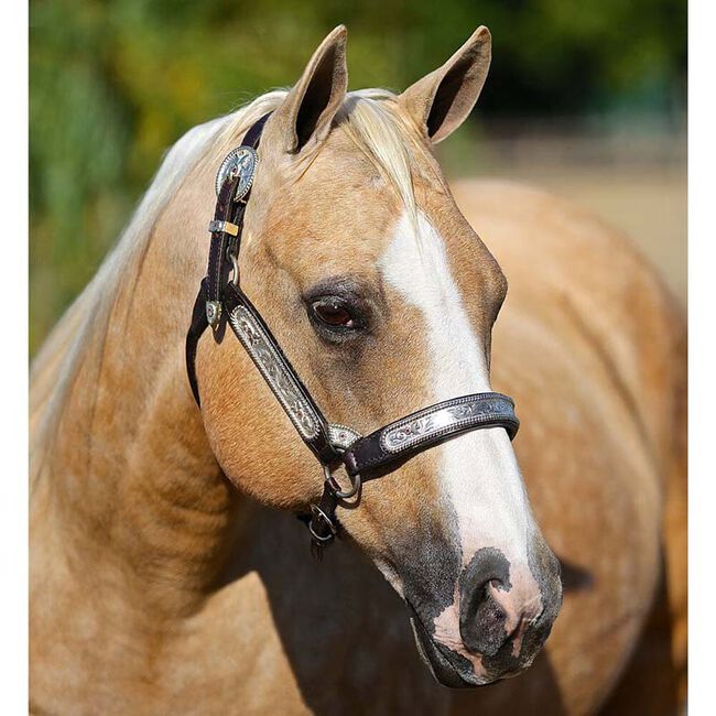Breyer Ebony Shines and Charlize - Quarter Horse Set image number null