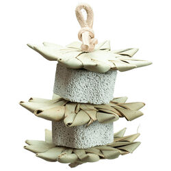 Nibbles S'mores Pumice and Palm Stack