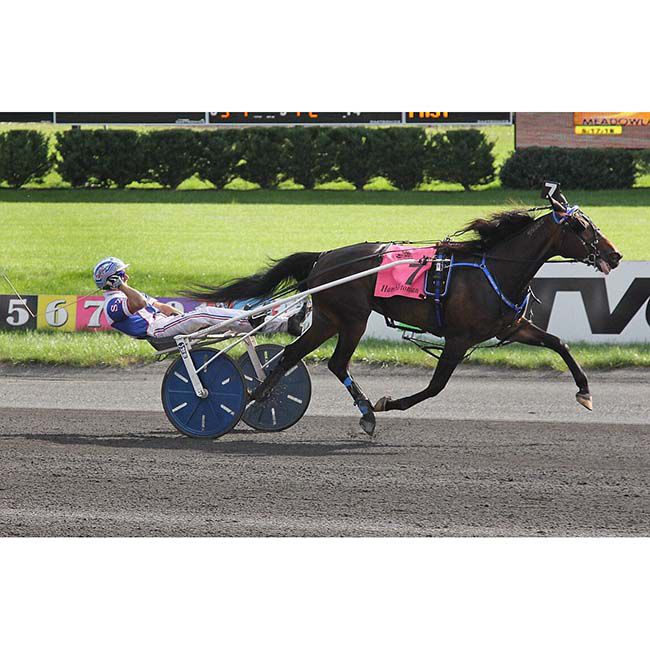 Breyer Atlanta - Standardbred Racehorse Champion image number null