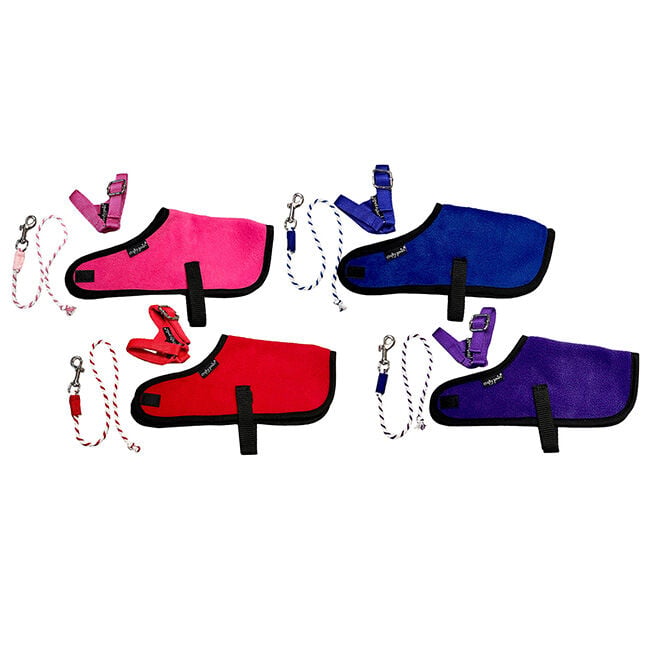 Crafty Ponies Foal Rug Set image number null