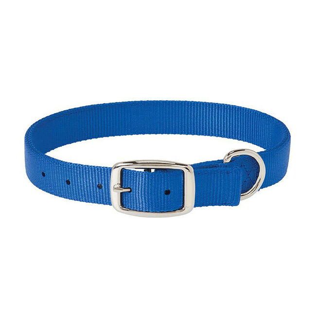 Weaver Equine Prism Classic Dog Collar - Blue image number null