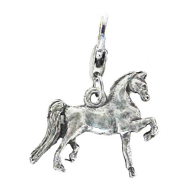 Finishing Touch of Kentucky Barbary Saddlebred Charm image number null
