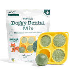 Woof Pupsicle Treat Mix - Doggy Dental - 5.5 oz