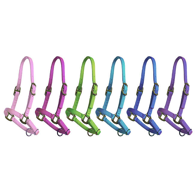 Triple E Adjustable Nylon Foal Halter image number null