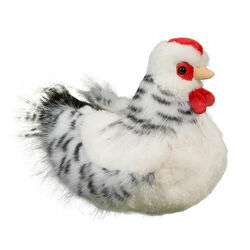 Douglas Salty the Black & White Hen