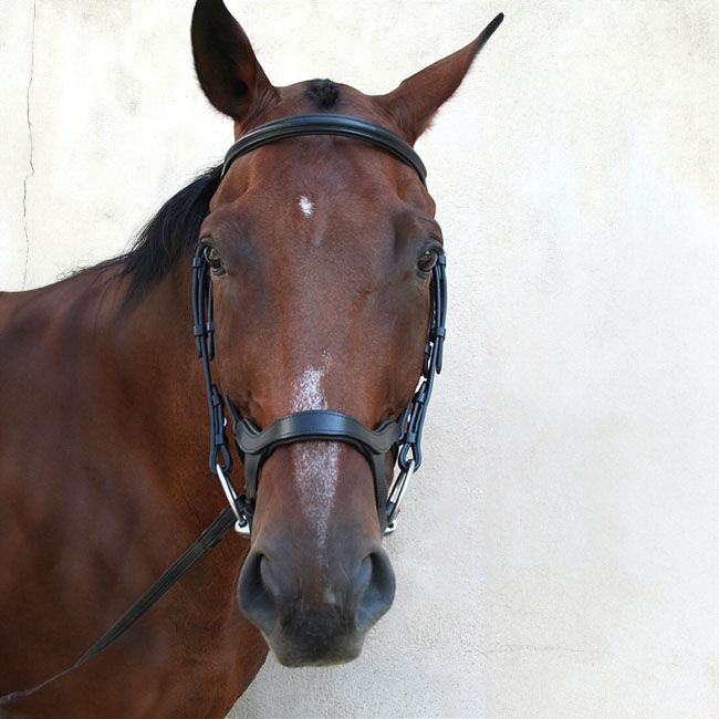 Nunn Finer Innovativo English Bridle - Black image number null