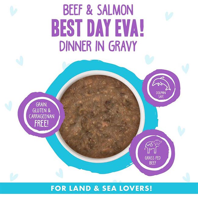 Weruva BFF OMG Cat Food - Best Day Eva! Beef & Salmon Dinner in Gravy - 5.5 oz image number null