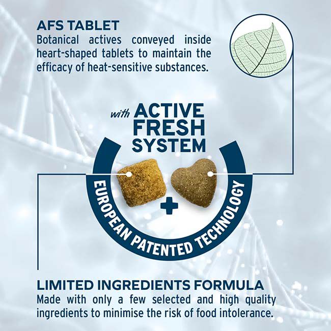 Forza10 Nutraceutic Active Dog Food - Intestinal Support Diet image number null