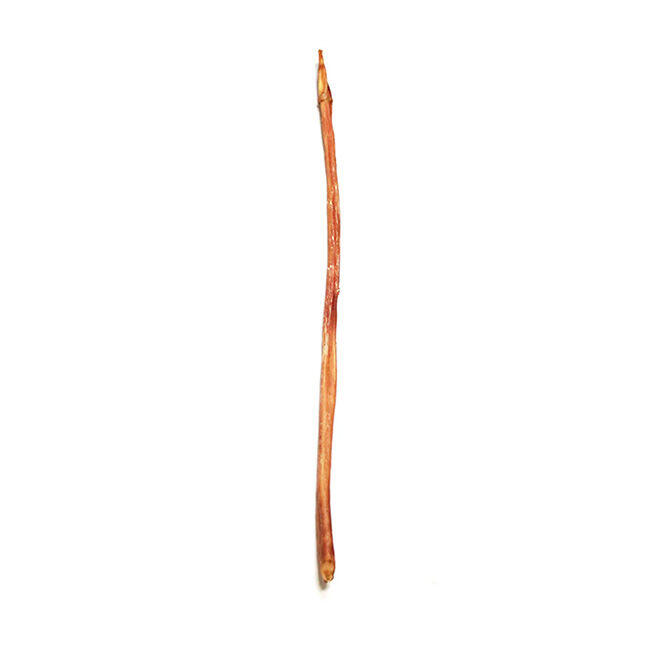 Tuesday's Natural Dog Company Odor-Free Bully Cane image number null