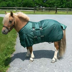 Intrepid International Miniature Horse Turnout Blanket with Belly Band - Hunter Green