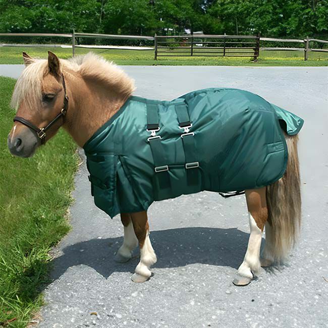 Intrepid International Miniature Horse Turnout Blanket with Belly Band - Hunter Green image number null