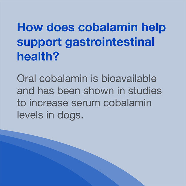 Nutramax Cobalequin B12 Supplement for Medium to Large Dogs - 45 Chewable Tablets image number null