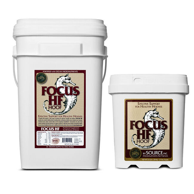SOURCE Focus HF Hoof image number null