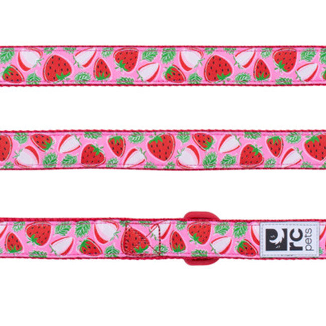 RC Pets Dog Leash - Strawberries image number null