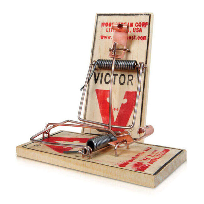 Victor Pest Small Snap Trap for Mice - 2-Pack image number null