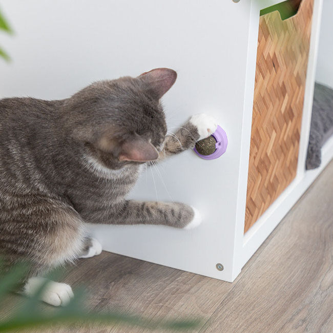 Trixie Gall Fruit Ball image number null