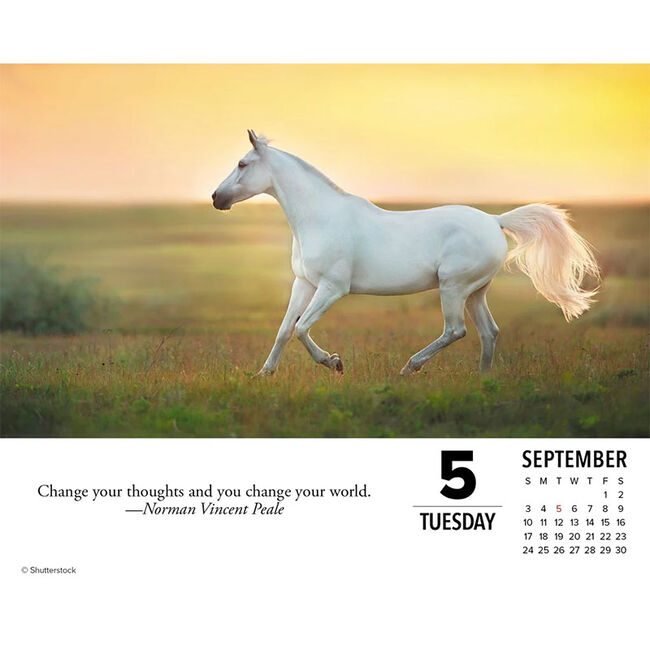 Willow Creek Press 2023 Box Calendar - What Horses Teach Us image number null