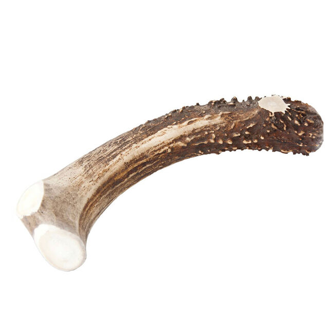 Chasing Our Tails Deer Rack Snack - Deer Antler Dog Chew image number null