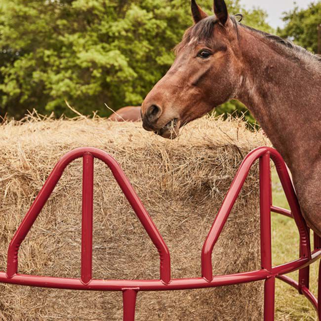 Tarter Equine Pro Hay Feeder image number null