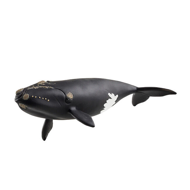 Schleich North Atlantic Right Whale image number null