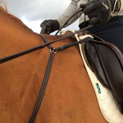 E. Jeffries & Sohn Saddlery Gentle Neck Strap - Closeout