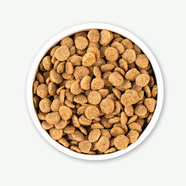 Earthborn Weight Control Dry Dog Food 25 lb The Cheshire Horse