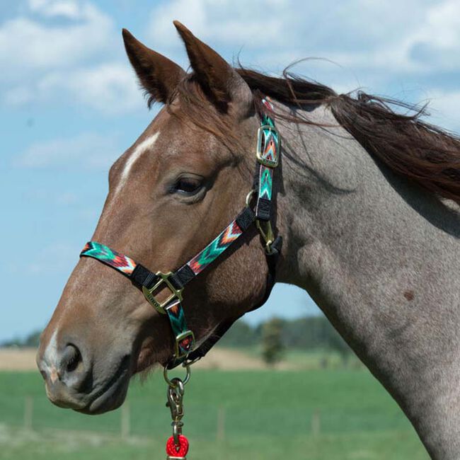 Weaver Equine Nylon Adjustable Chin and Throat Snap Halter - Chevron image number null