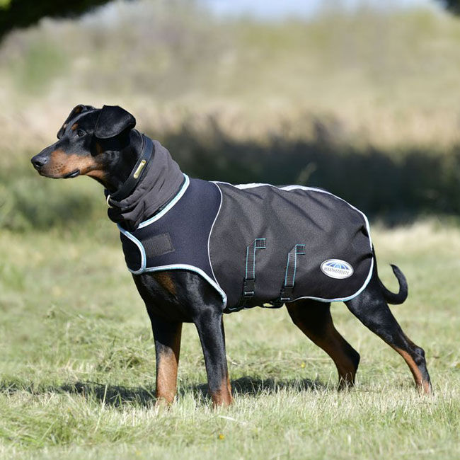 WeatherBeeta Comfitec Ultra Cozi II Dog Coat - Medium/Lite - Charcoal/Teal Blue/White - Closeout image number null