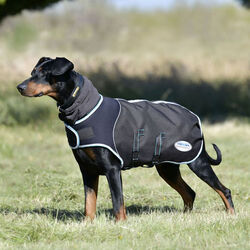 WeatherBeeta Comfitec Ultra Cozi II Dog Coat - Medium/Lite - Charcoal/Teal Blue/White