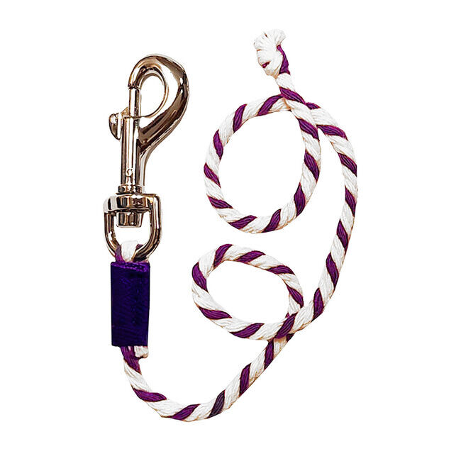 GT Reid Pony Lead Rope - Purple image number null