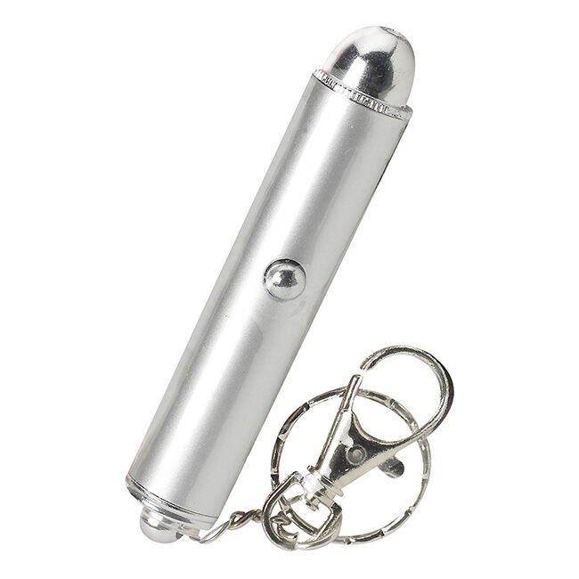 Ethical Cat SpotBrites Single Dot Laser Toy image number null