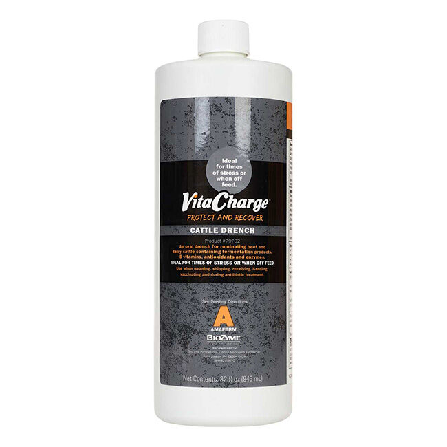 Sure Champ Cattle Drench with Vita Charge - 32 oz image number null
