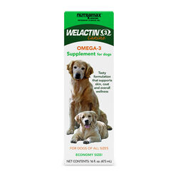 Nutramax Laboratories Welactin Omega-3 Fish Oil Skin & Coat Health Supplement Liquid for Dogs - 16 oz