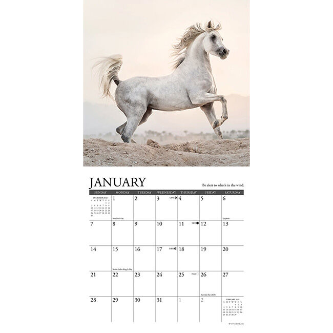 Willow Creek Press 7" x 7" Mini Wall Calendar - What Horses Teach Us image number null