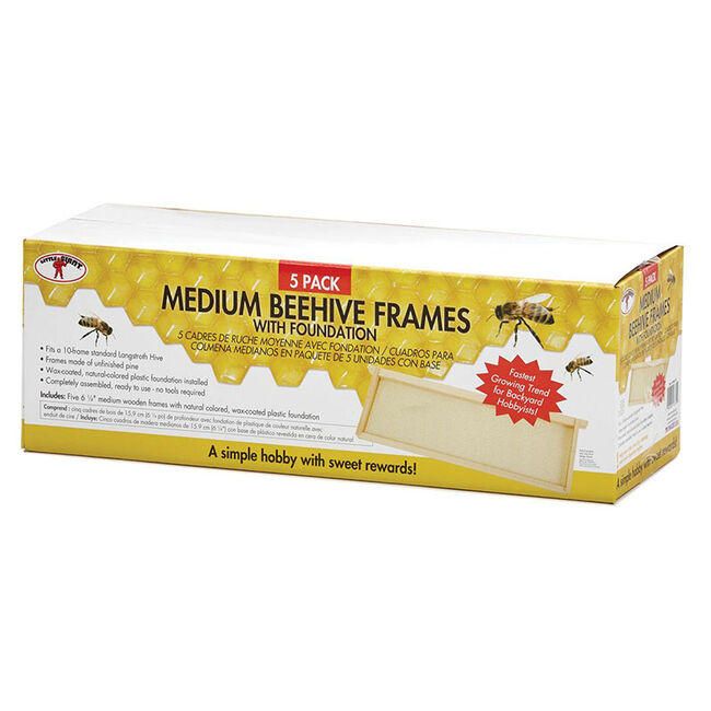 Little Giant Bee Hive Honey Frames - Medium image number null