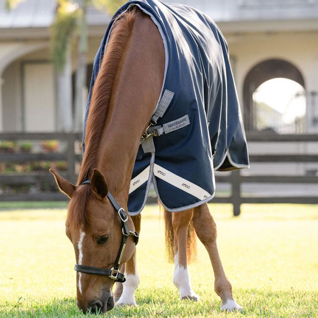 Horseware Amigo 1200D Turnout (0g) - Navy/Titanium Grey/Silver image number null