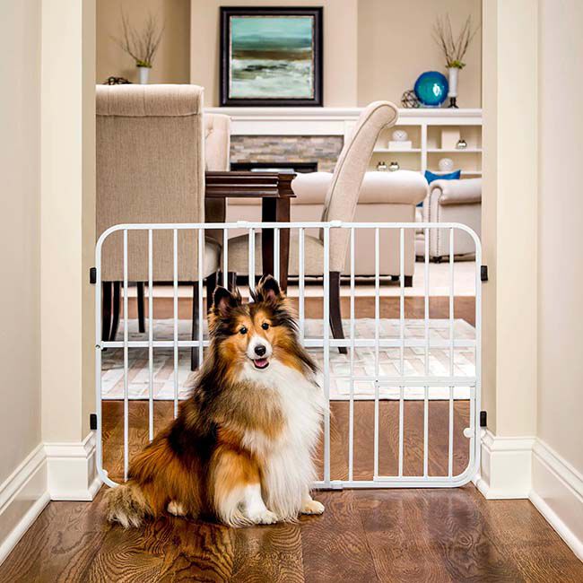 Carlson Tuffy Expandable Gate with Small Pet Door - Closeout image number null