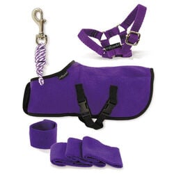 Crafty Ponies Toy Fleece Rug Set - Purple