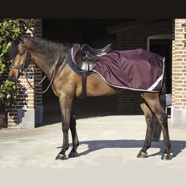 Horseware Amigo Ripstop Competition Sheet with Fleece Lining - Fig/Navy/Tan image number null