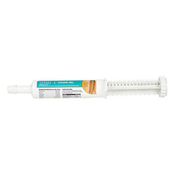 Vitalize Equine Recovery Gel - 30 mL