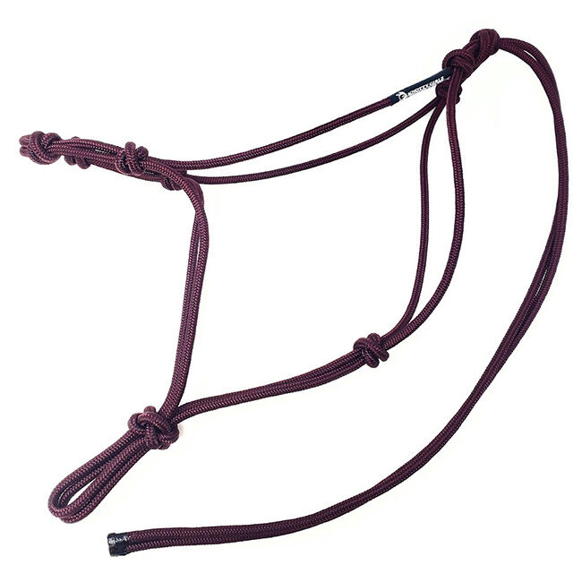 Knotty Girlz Stiff 2-Knot Halter with 1/4" Polyester Cord image number null