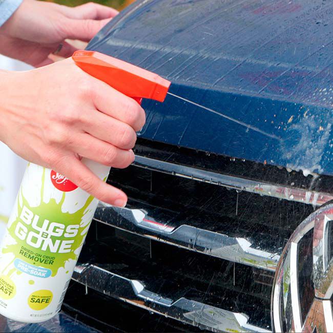 Sea Foam Bugs B Gone - Dried-On Crud Remover image number null