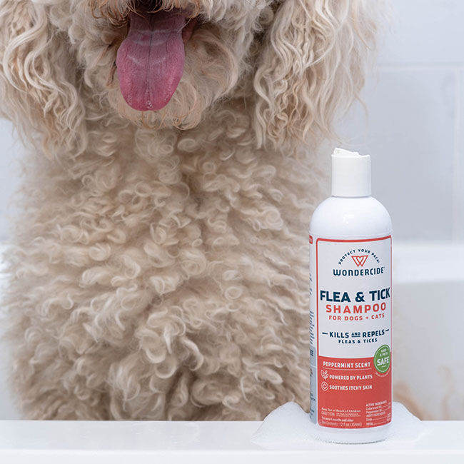 Wondercide Flea & Tick Shampoo for Dogs & Cats with Natural Essential Oils - 12 oz image number null